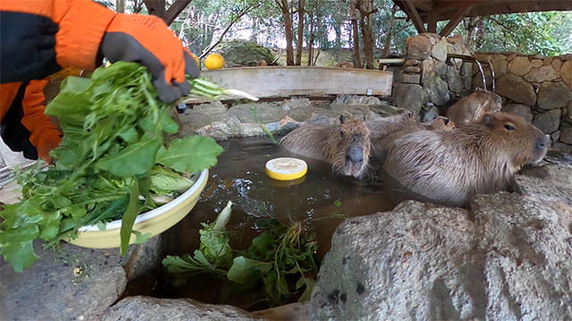 動画サムネイル
